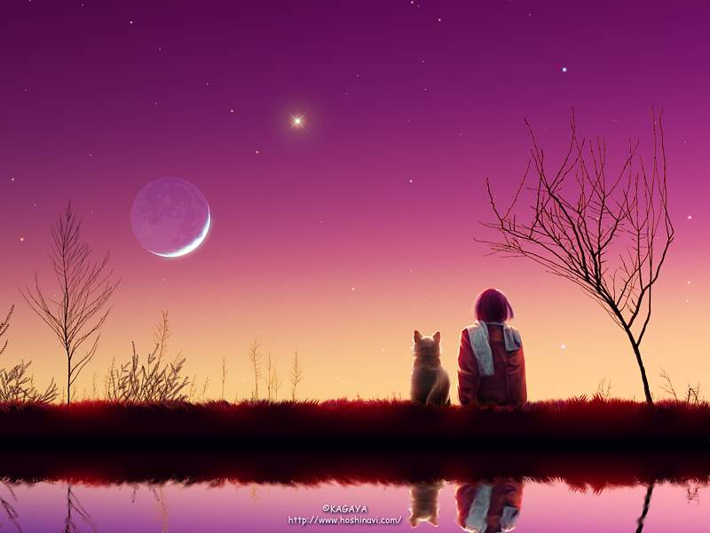 nightstar03.jpg