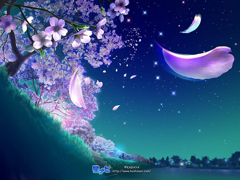 nightstar05.jpg